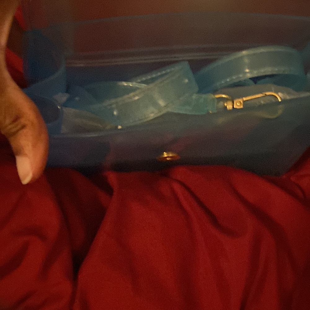 Teal, see through, hand bag with detachable shoulder strap. - Picture 3 of 5